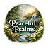 1ik14f6EPNo-channel-avatar-Peaceful Psalms
