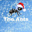 The ants -  Канал о муравьях 