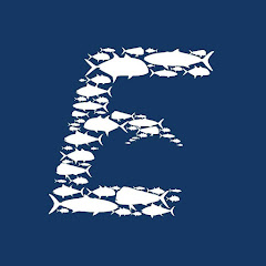Ebb Tide TV