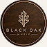 fEdvKe-3gVU-channel-avatar-Black Oak Music