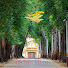 4dDgTnTX1ec-channel-avatar-Desamon - ဒေသမန်
