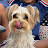 @MarcioDec73's avatar
