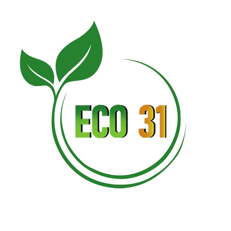 Phân Bón Hữu Cơ Eco31 - Không Lo Vàng Lá Thối Rễ