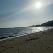 戻ってくるのかな