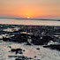 gTbfOyPFT_Q-channel-avatar-Nature_Loving