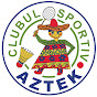 ACS Aztek logo