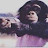 @niceonechief6302 Avatar