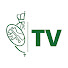 l7hLN4pH89s-channel-avatar-Macarena Televisión 