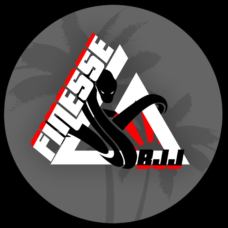 FINESSE JIUJITSU HTX