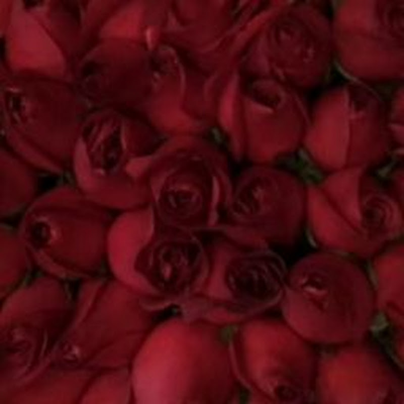 勇往直前德雲粉 Logo