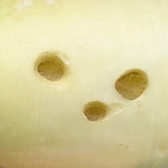 ホッカイロチャネラー