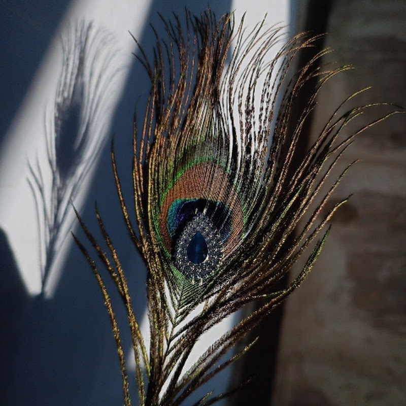 ʟᴏꜰᴇʀɪᴀɴ ʀᴀʜᴜʟꜱ
