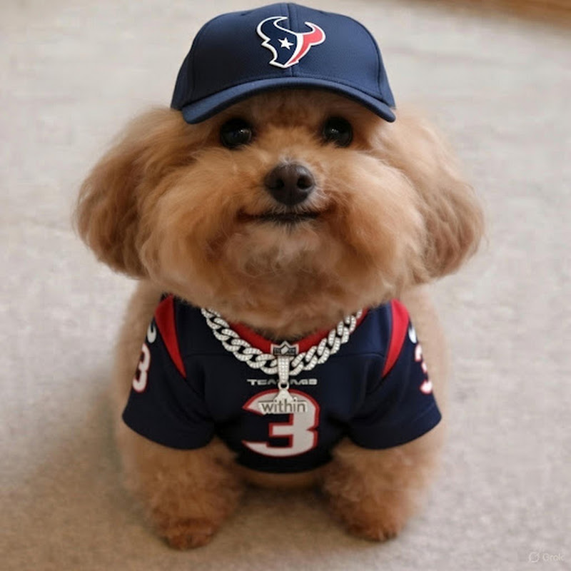 Hire 𝙬𝙞𝙩𝙝𝙞𝙣𝙘𝙤𝙢𝙥 — Entrepreneurship & Startups YouTube creator for sponsorships