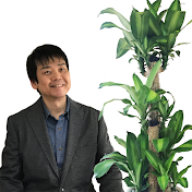 観葉植物風水で運気アップ【グリーンスマイルTV】