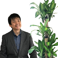 観葉植物風水で運気アップ【グリーンスマイルTV】