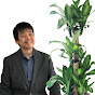 観葉植物風水で運気アップ【グリーンスマイルTV】のチャンネルアイコン