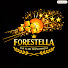 hiSxFm0ve4g-channel-avatar-Etoiles de Forestella