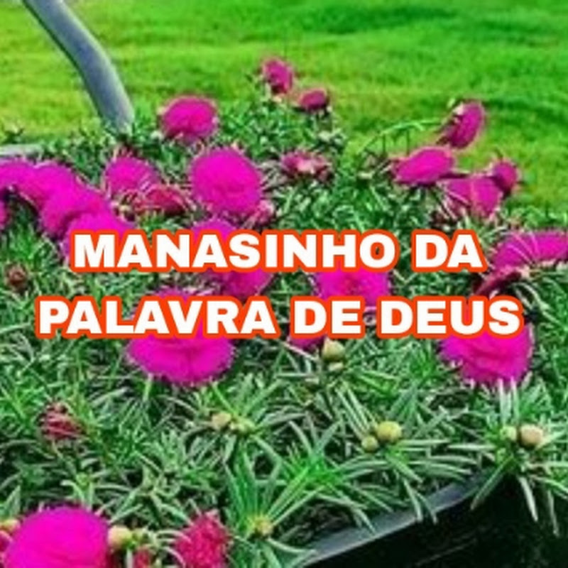 MANAZINHO DA PALAVRA DE DEUS 🙏 avatar