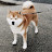 @Xi_da_butcher's avatar