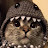 @Котёнок-эбе