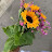 @RanaTalrayyes's avatar