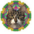 MEh7l0CPCtA-channel-avatar-Nini