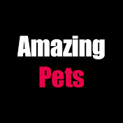 Amazing Pets
