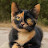 @Gatuno-h8k