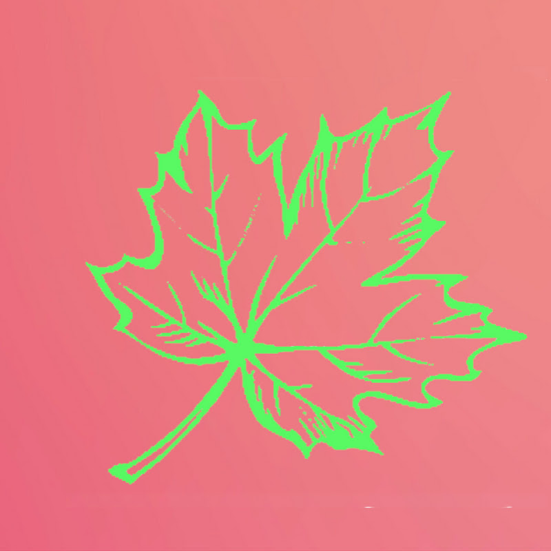 Maple Leaf Translations