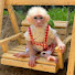 YIAl8VO6iZ0-channel-avatar-Monkey Zika