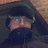 @Wolfyzee200 Avatar