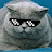 @pizzacat369 Avatar