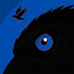 rNoeZk2DtEs-channel-avatar-sarsenbekk