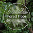 xdScDtrFmSY-channel-avatar-Forest Floor Terrariums
