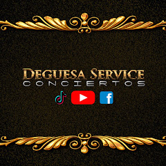 DEGUESA SERVICE CONCIERTOS