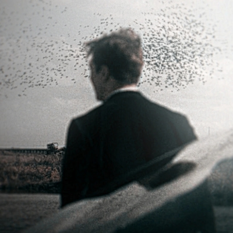 Hire RUNE_AM — Motion Graphics & VFX YouTube creator for sponsorships