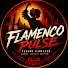 y_N0uw2Mx3A-channel-avatar-Flamenco Pulse