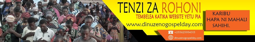 Dinu Zeno YouTube 频道头像