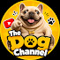 IzaTbnMmzcM-channel-avatar-The Dog Channel