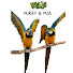 gvDnirMoiRU-channel-avatar-Mikey The Macaw & Friends
