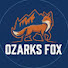 UXV12ZTQtAE-channel-avatar-OzarksFox