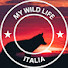 FvY_kfqdqo8-channel-avatar-My Wild Life - Italia