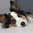 @user-vb5cu2zi8o
