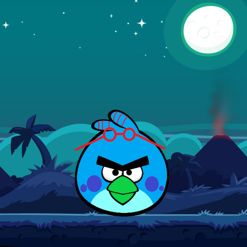 Nick The Angry Birds 