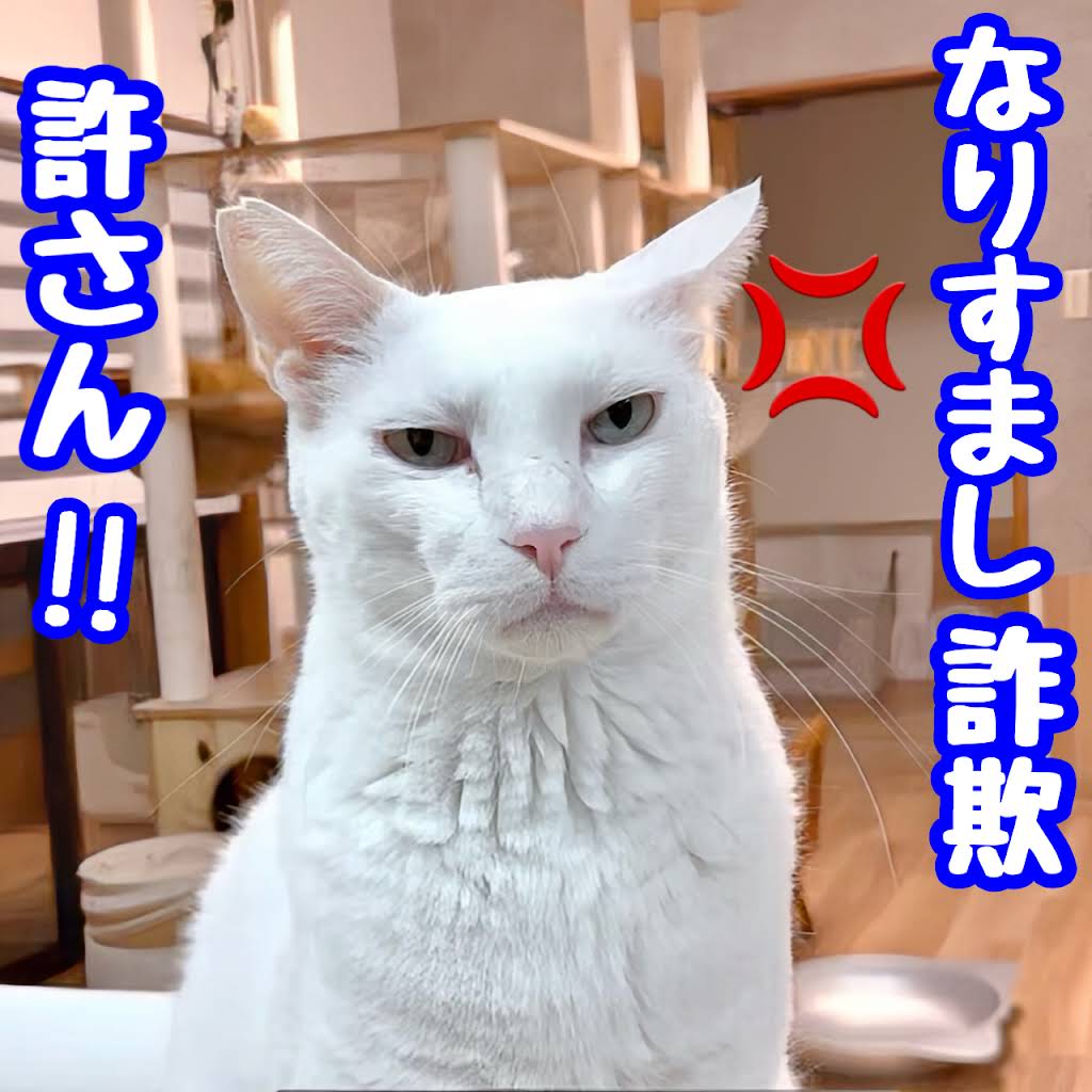 ねこまるけ / Full of cats - YouTube
