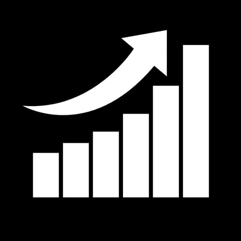 The Cash Flow Compounder