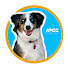 Vkb6JK0U4Wo-channel-avatar-Alicia Pet Care Center