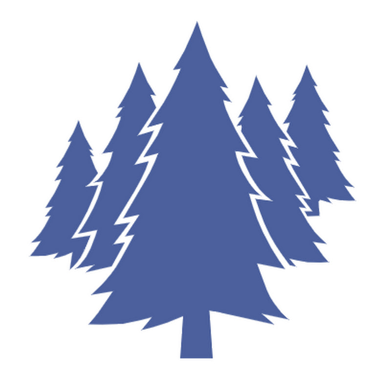 Timber Point Capital Management