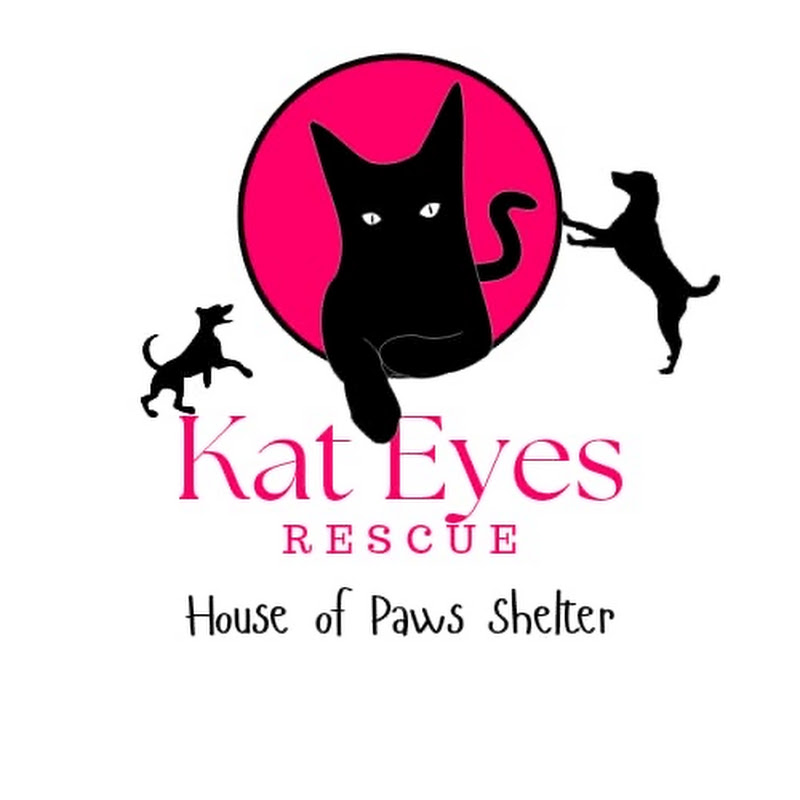  House of paws shelter ( kat Eyes Rescue)