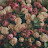 @amanymostafa4